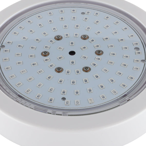 Submersible Red, Green & Blue LED 10 Watts Swimming Pool Light - Tronic Tanzania
