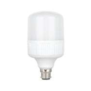 40 Watts LED B22 (Pin) Bulb